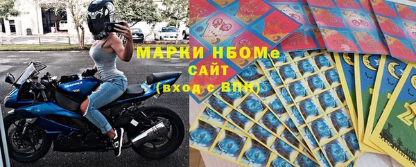 стаф Ростов