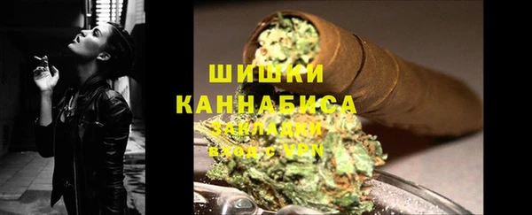 трава Белокуриха