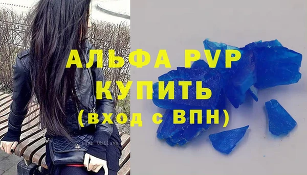 трава Белокуриха