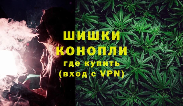 трава Белокуриха