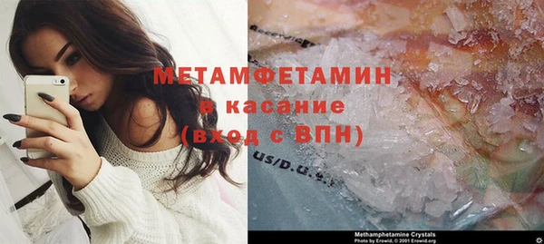 трава Белокуриха
