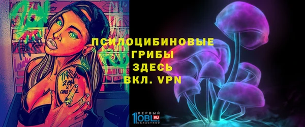 трава Белокуриха